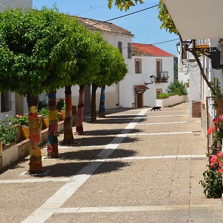Casa La Puente Βίλα Jubrique Εξωτερικό φωτογραφία