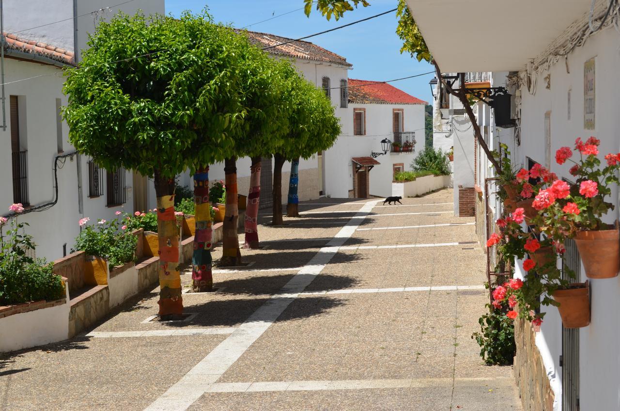 Casa La Puente Βίλα Jubrique Εξωτερικό φωτογραφία