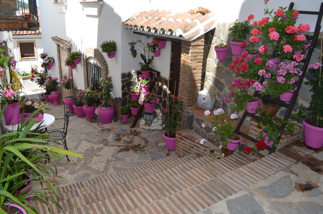 Casa La Puente Βίλα Jubrique Εξωτερικό φωτογραφία
