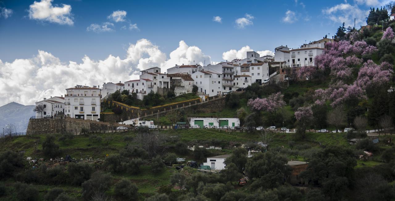 Casa La Puente Βίλα Jubrique Εξωτερικό φωτογραφία